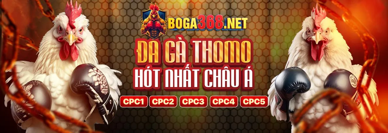 Hình ảnh Chính sách quyền riêng tư của bcr88